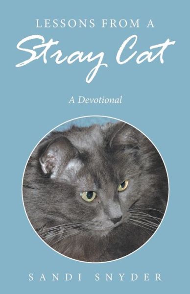 Cover for Sandi Snyder · Lessons from a Stray Cat (Paperback Book) (2016)