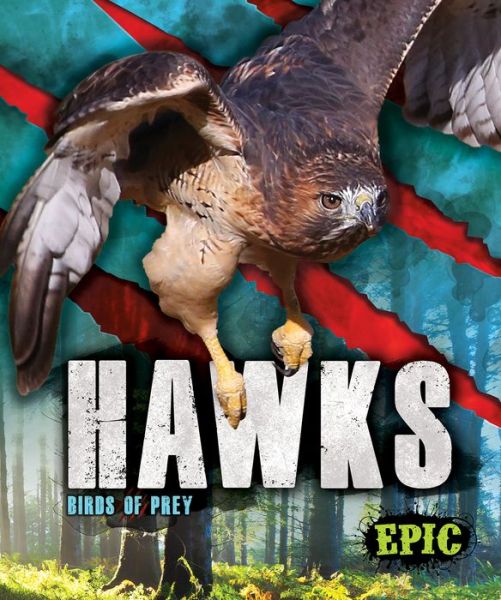 Cover for Nathan Sommer · Hawks - Birds of Prey (Hardcover Book) (2019)