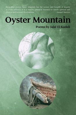 Cover for Jalal El-Kadali · Oyster Mountain (Paperback Book) (2020)