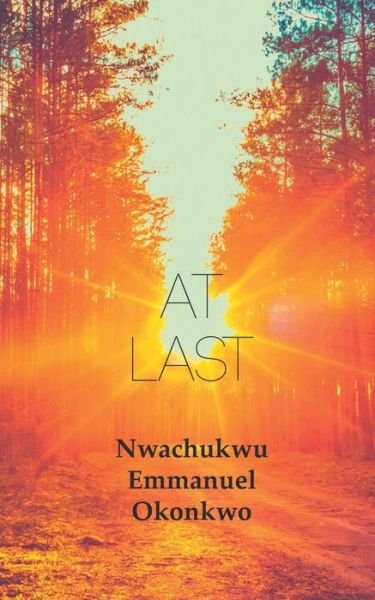 Cover for Nwachukwu Emmanuel Okonkwo · At Last (Taschenbuch) (2015)