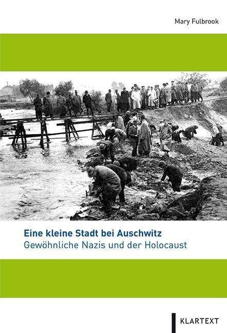 Cover for Fulbrook · Eine kleine Stadt bei Auschwit (Bog)