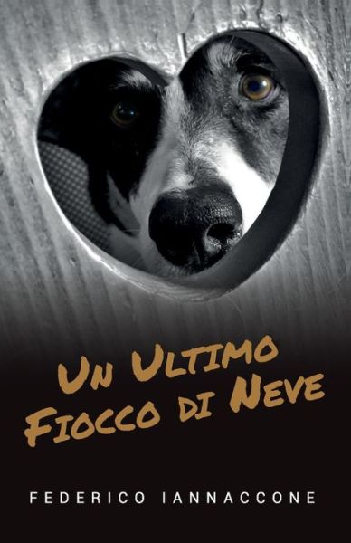 Cover for Federico Iannaccone · Un ultimo fiocco di neve (Paperback Book) (2019)