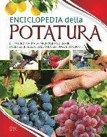 Cover for Richard Bird · Enciclopedia Della Potatura (Buch)