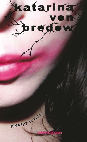 Cover for Katarina von Bredow · Knappt lovlig (ePUB) (2011)