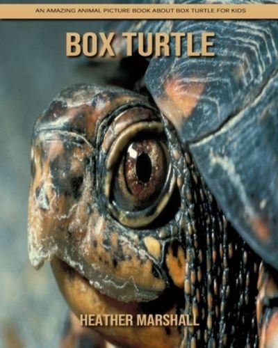 Cover for Heather Marshall · Box Turtle: An Amazing Animal Picture Book about Box Turtle for Kids (Paperback Book) (2021)