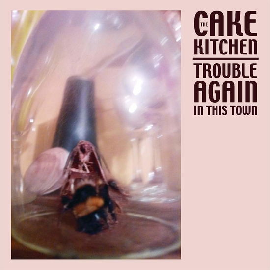 Cover for Cakekitchen · Trouble Again In This Town (LP) (2020)