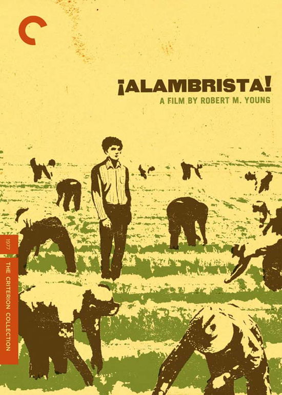 Cover for Criterion Collection · Alambrista / DVD (DVD) [Widescreen edition] (2012)