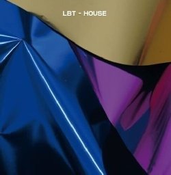 Cover for Lbt · House (LP) (2023)