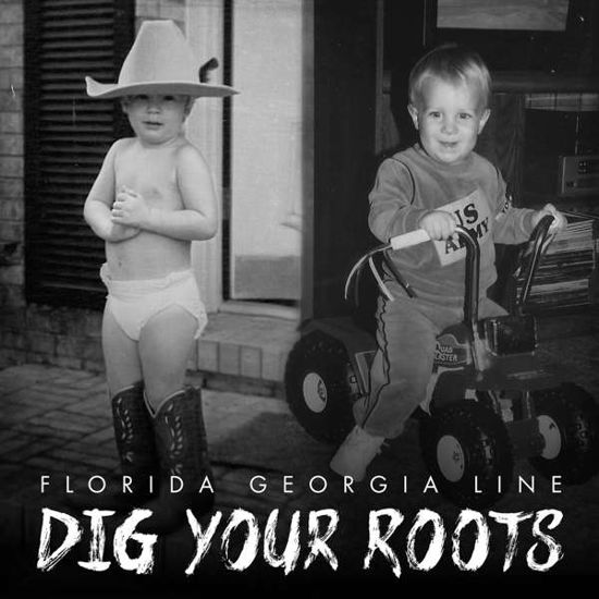 Dig Your Roots - Florida Georgia Line - Musik - BIG MACHINE RECORDS - 0843930024810 - 26. August 2016
