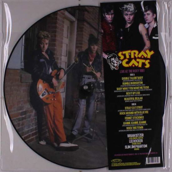 (gold / Black) Live At The Roxy 1981 - Stray Cats - Musik - CLEOPATRA - 0889466174810 - 23 oktober 2020