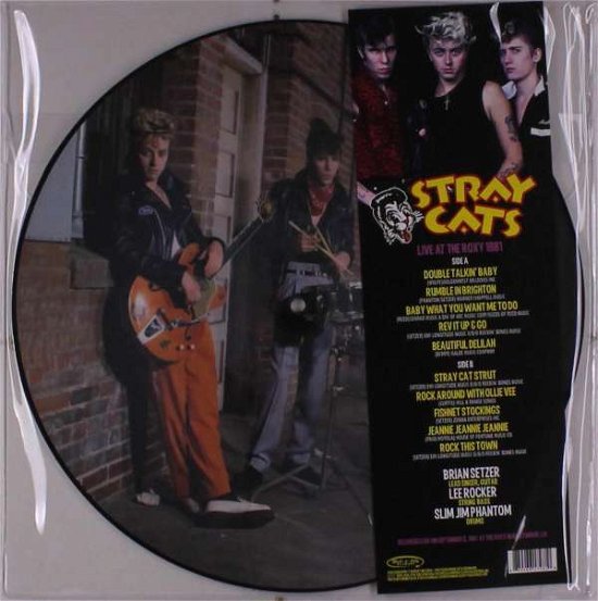 Cover for Stray Cats · (gold / Black) Live At The Roxy 1981 (LP) [Picture Disc edition] (2020)