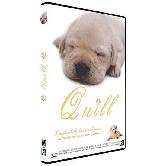 Cover for Quill · La plus belle histoire d'amour entre un chien et son maitre (DVD)