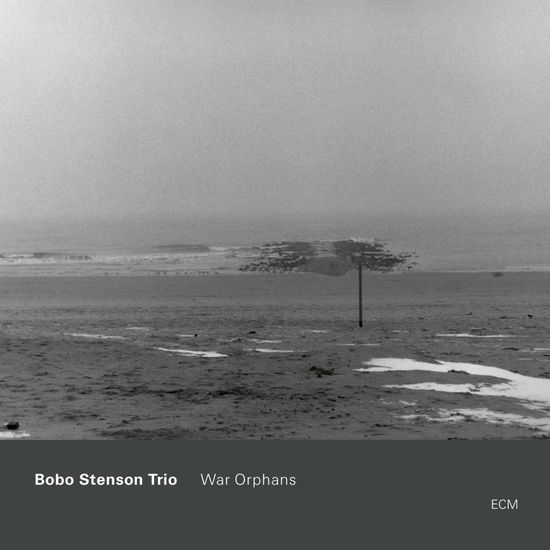 Cover for Bobo Trio Stenson · War Orphans (CD) [Japan Import edition] (2024)