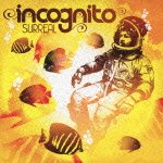 Cover for Incognito · Surreal (CD) [Japan Import edition] (2018)