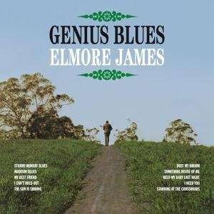 Genius Blues - Elmore James - Musikk - get back - 8013252752810 - 13. juni 2008