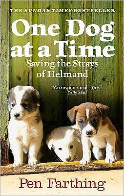 One Dog at a Time: An inspiring true story of saving the strays of Afghanistan - Pen Farthing - Kirjat - Ebury Publishing - 9780091928810 - torstai 28. lokakuuta 2010