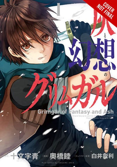 Cover for Ao Jyumonji · Grimgar of Fantasy and Ash, Vol. 2 (manga) (Pocketbok) (2017)