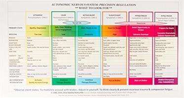 Autonomic Nervous System Table: Wall Poster - Babette Rothschild - Fanituote - WW Norton & Co - 9780393712810 - tiistai 20. kesäkuuta 2017