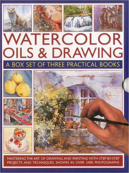 Watercolour, Oil and Drawing - Ian Sidaway - Books - Anness Publishing - 9780754823810 - December 15, 2012