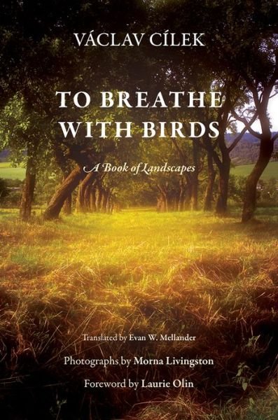 Cover for Vaclav Cilek · To Breathe with Birds: A Book of Landscapes - Penn Studies in Landscape Architecture (Gebundenes Buch) (2015)