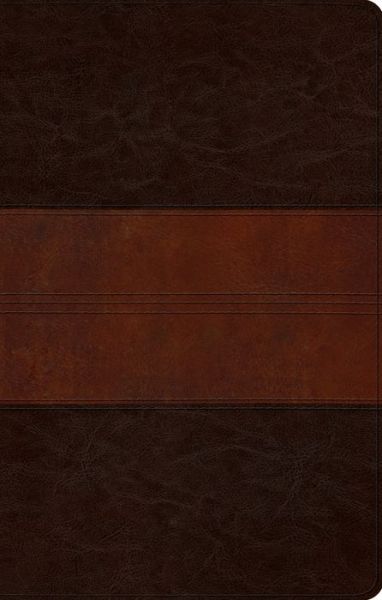 Cover for Crossway Bibles · Esv UltraThin Bible (TruTone  Deep (N/A) [Tan/Brown Imitation] (2013)