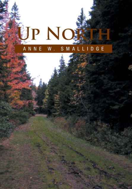 Cover for Anne W Smallidge · Up North (Hardcover Book) (2010)