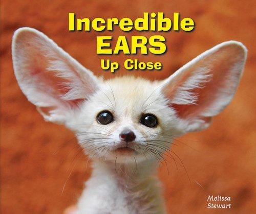 Cover for Melissa Stewart · Incredible Ears Up Close (Animal Bodies Up Close) (Pocketbok) (2012)