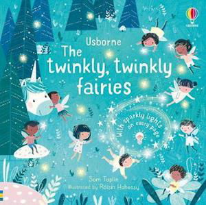 Cover for Sam Taplin · The Twinkly Twinkly Fairies - Twinkly Twinkly (Board book) (2020)