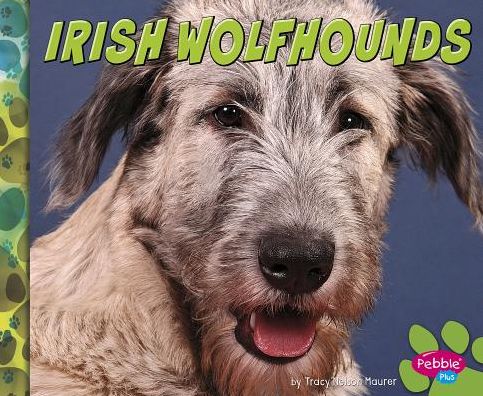 Cover for Allan Morey · Irish wolfhounds (Book) (2016)