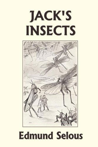 Cover for Edmund Selous · Jack's Insects (Yesterday's Classics) (Paperback Book) (2011)