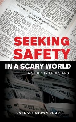 Cover for Candace Brown Doud · Seeking Safety in a Scary World (Hardcover Book) (2020)