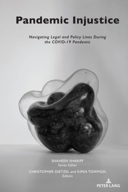 Confronting Systemic Omissions and Impacts in Educational Policy - Christopher Dietzel - Książki - Lang Publishing, Incorporated, Peter - 9781636674810 - 6 grudnia 2023