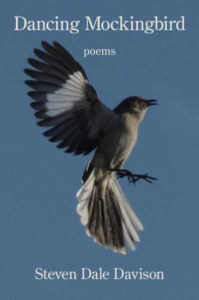 Cover for Steven Dale Davison · Dancing Mockingbird (Bog) (2022)