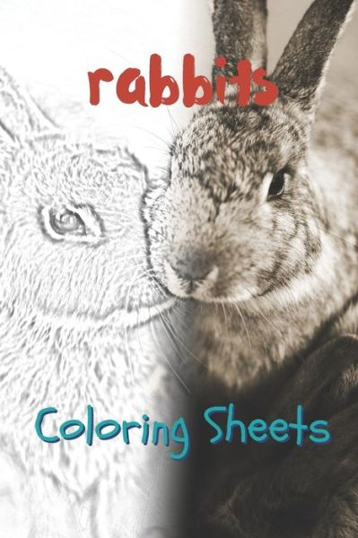 Cover for Julian Smith · Rabbit Coloring Sheets (Pocketbok) (2019)