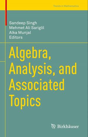 Algebra, Analysis, and Associated Topics - Trends in Mathematics - - Books - Birkhauser Verlag AG - 9783031190810 - January 17, 2023