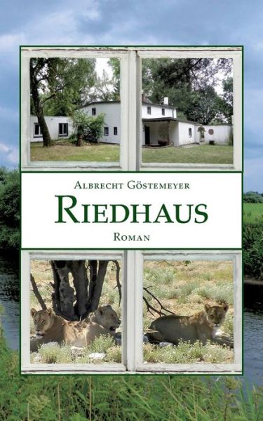 Cover for Albrecht Goestemeyer · Riedhaus (Paperback Book) (2020)