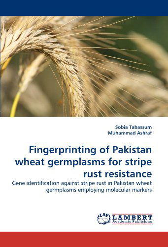 Cover for Muhammad Ashraf · Fingerprinting of Pakistan Wheat Germplasms for Stripe Rust Resistance: Gene Identification Against Stripe Rust in Pakistan Wheat Germplasms Employing Molecular Markers (Paperback Book) (2010)