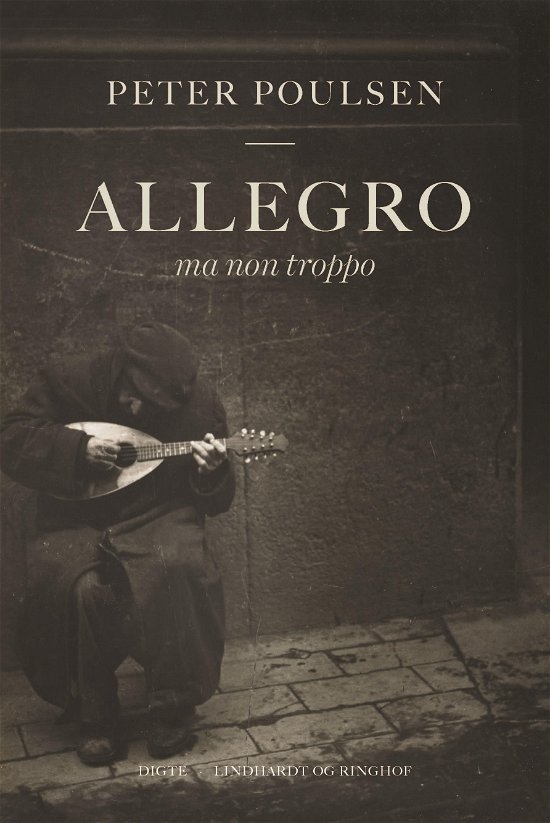 Cover for Peter Poulsen · Allegro ma non troppo (Bound Book) [1er édition] (2018)