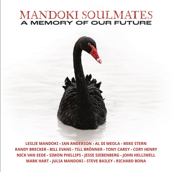 A Memory Of Our Future - Mandoki Soulmates - Musik - INSIDEOUTMUSIC - 0196588768811 - 10. maj 2024