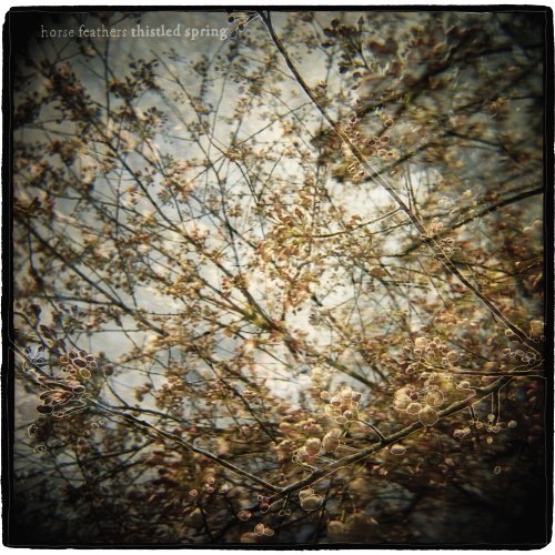 Cover for Horse Feathers · Thistled Spring (LP) (2010)