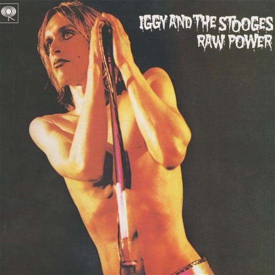 Cover for Iggy &amp; the Stooges · Raw Power (LP) [High quality vinyl edition] (2007)