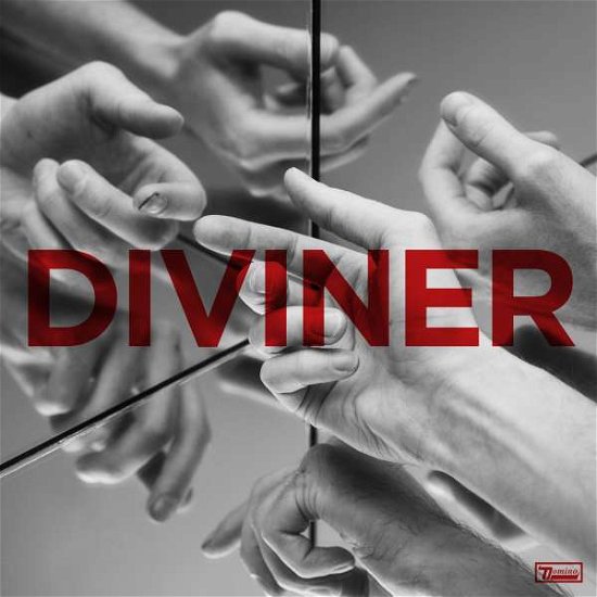 Diviner - Hayden Thorpe - Musiikki - DOMINO - 0887828043811 - perjantai 24. toukokuuta 2019