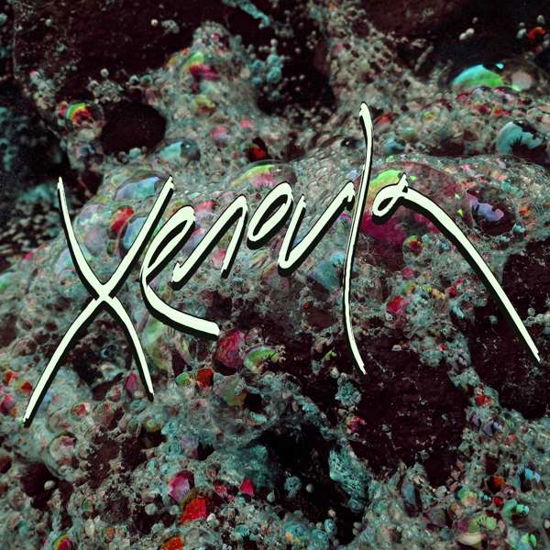 Cover for Xenoula (LP) (2017)