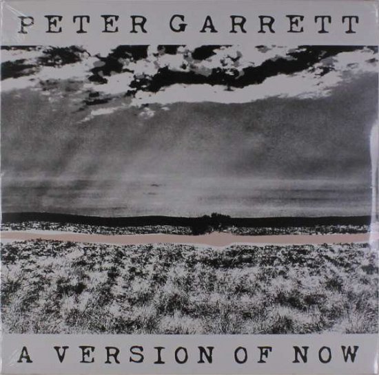 Cover for Peter Garrett · A Version Of Now (LP) (2016)