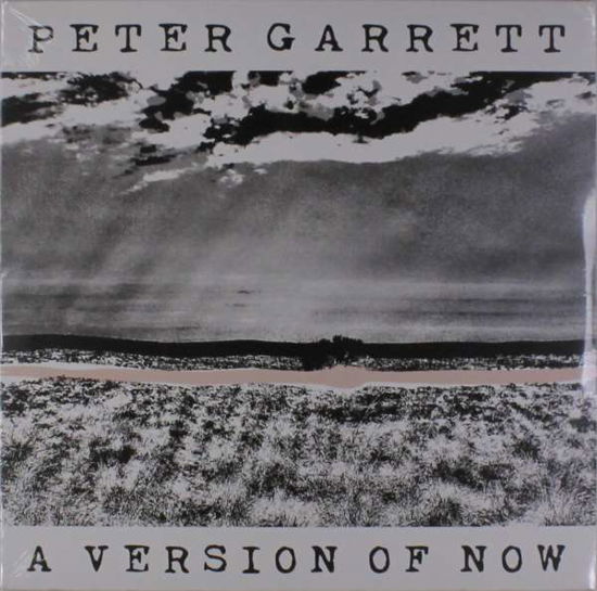 Cover for Peter Garrett · Version of Now (LP) (2016)