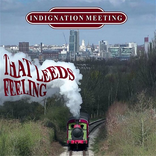 Indignation Meeting · Trouble In The Shed (LP) (2024)