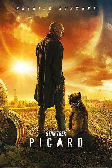 Cover for Poster - Maxi · Star Trek: Picard - Picard Number One (Poster 61X91,5 Cm) (Spielzeug) (2019)