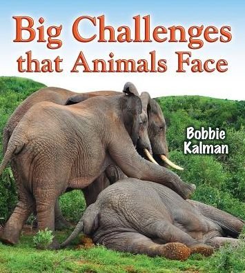 Cover for Bobbie Kalman · Big challenges that animals face (Book) (2016)