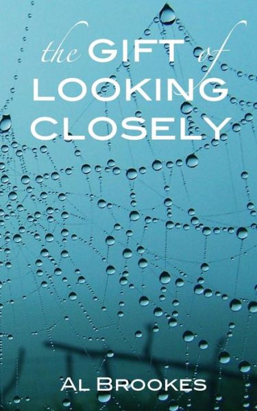 Cover for Al Brookes · The Gift of Looking Closely (Paperback Book) (2014)