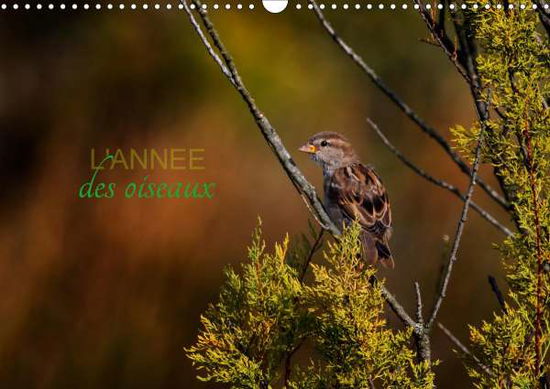 Cover for Gans · L'année des oiseaux (Calendrier mu (Book)